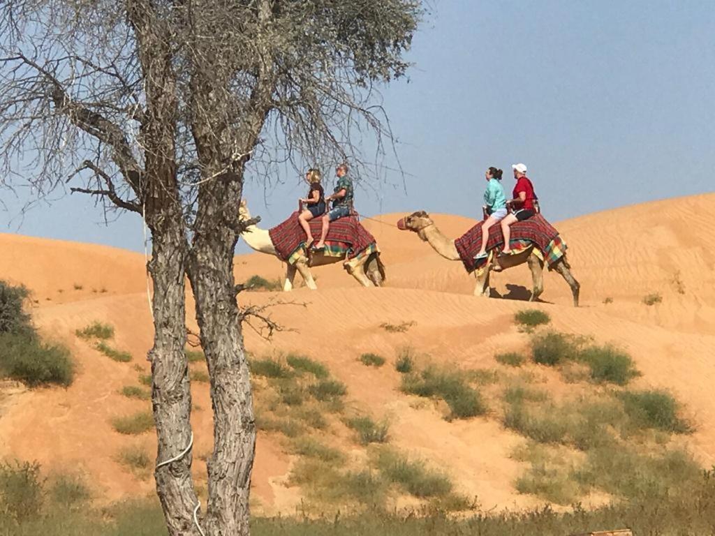 The Dunes Camping & Safari Rak Ra’s al-Chaima Exterior foto
